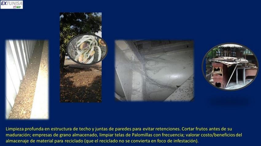 Capacidad de carga en el control de plagas - Image 6