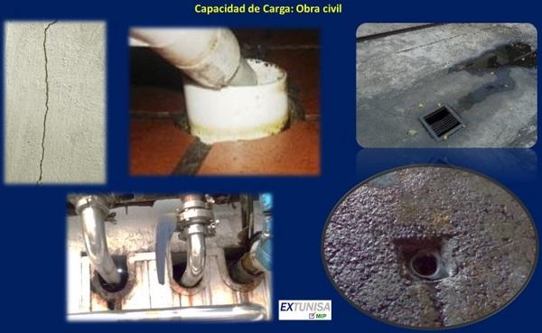 Capacidad de carga en el control de plagas - Image 8
