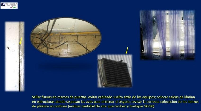 Capacidad de carga en el control de plagas - Image 4