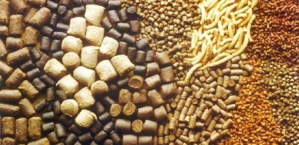 Tendencias mundiales de la inocuidad y su impacto en la industria de los alimentos: Revisión literaria - Image 1