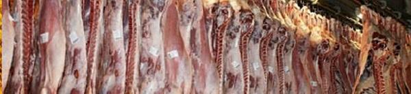 Tendencias mundiales de la inocuidad y su impacto en la industria de los alimentos: Revisión literaria - Image 3