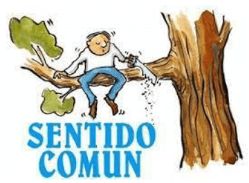 SI a la Bioseguridad, NO a la influenza aviar: Los 10 tips - Imagen 10