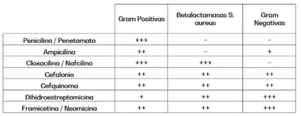 Importancia del manejo de vaca en seca para disminuir problemas de mastitis - Image 5