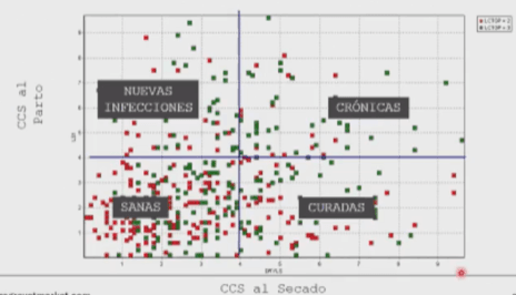 Importancia del manejo de vaca en seca para disminuir problemas de mastitis - Image 4