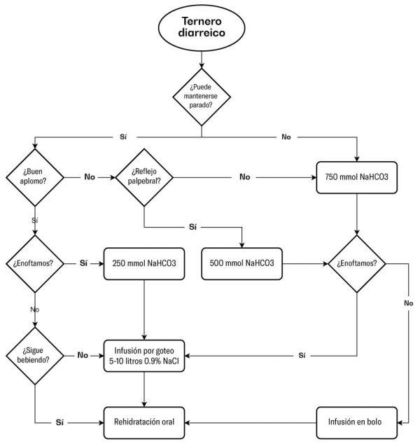 Diarrea neonatal del ternero (Parte 2): Manejo del ternero diarreico - Image 5