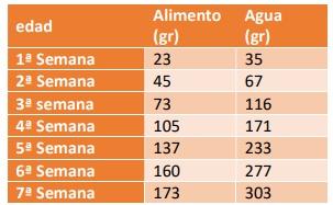 El Agua y su Estrecha Relación Agua–Alimento, en los Pollos de Engorda. (1ª Parte) - Image 2