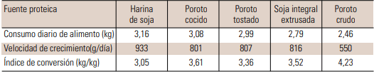 Uso del poroto de soja integral como alimento para cerdos - Image 4