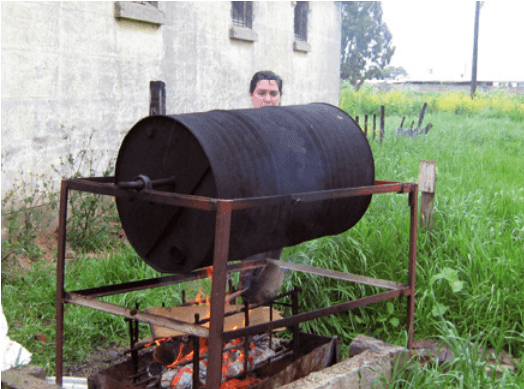 Uso del poroto de soja integral como alimento para cerdos - Image 2