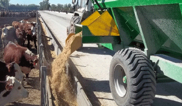 Manejo integrado de moscas en sistemas ganaderos intensivos - Image 32