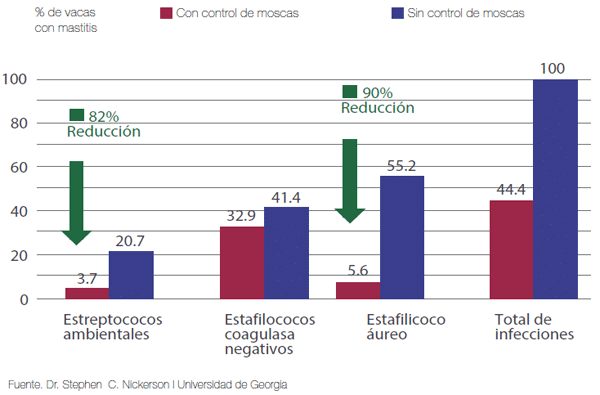 Manejo integrado de moscas en sistemas ganaderos intensivos - Image 8