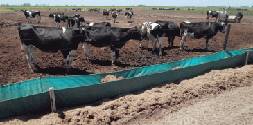 Manejo integrado de moscas en sistemas ganaderos intensivos - Image 22