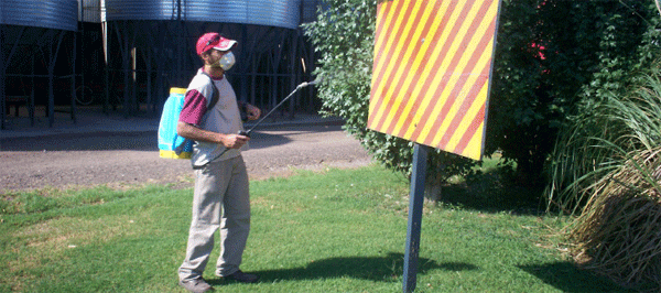 Manejo integrado de moscas en sistemas ganaderos intensivos - Image 31