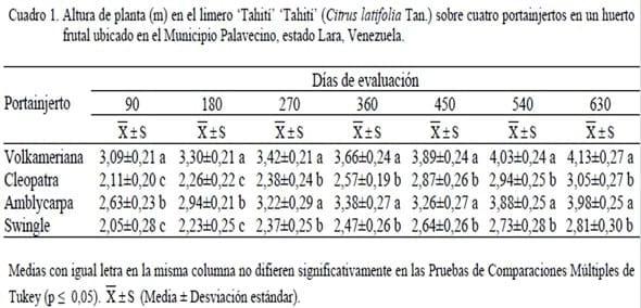Crecimiento del limero ‘Tahití’ (Citrus latifolia Tan.) y desarrollo del fruto sobre cuatro portainjertos en un huerto frutal ubicado en el Municipio Palavecino, estado Lara, Venezuela - Image 1