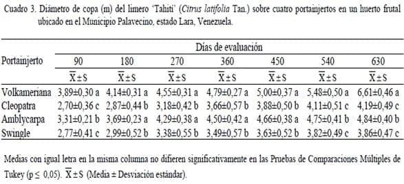 Crecimiento del limero ‘Tahití’ (Citrus latifolia Tan.) y desarrollo del fruto sobre cuatro portainjertos en un huerto frutal ubicado en el Municipio Palavecino, estado Lara, Venezuela - Image 3