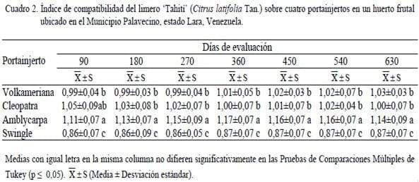 Crecimiento del limero ‘Tahití’ (Citrus latifolia Tan.) y desarrollo del fruto sobre cuatro portainjertos en un huerto frutal ubicado en el Municipio Palavecino, estado Lara, Venezuela - Image 2