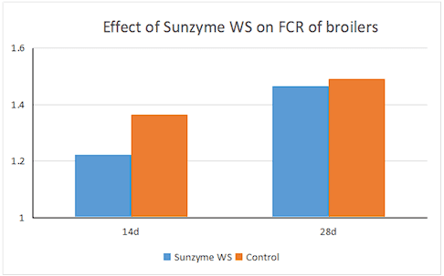 Sunzyme WS - Image 2