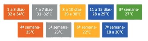 Estrategias de gestión invernal para mejorar el rendimiento de los pollos de engorde - Image 2