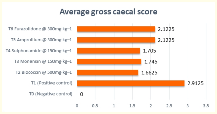 Gráfico 3: Puntuación cecal bruta media.