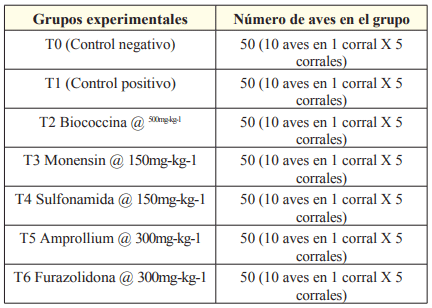 Cuadro 1