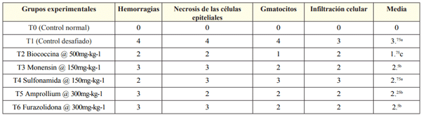 Tabla 4: Puntuación histopatológica de los ciegos sobre 4.