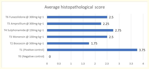 Gráfico 4: Puntuación histopatológica media sobre 4.