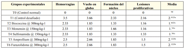 Tabla 3: Puntuación bruta del ciego sobre 4.