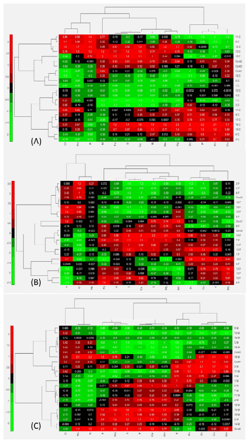 Figura 2. Matriz de correlación y escala MultBiplot de las bacterias y su contribución a la acumulación de nutrientes en Calamagrostis vicunarum (A), Festuca dolichophylla (B) y Muhlenbergia ligularis (C)