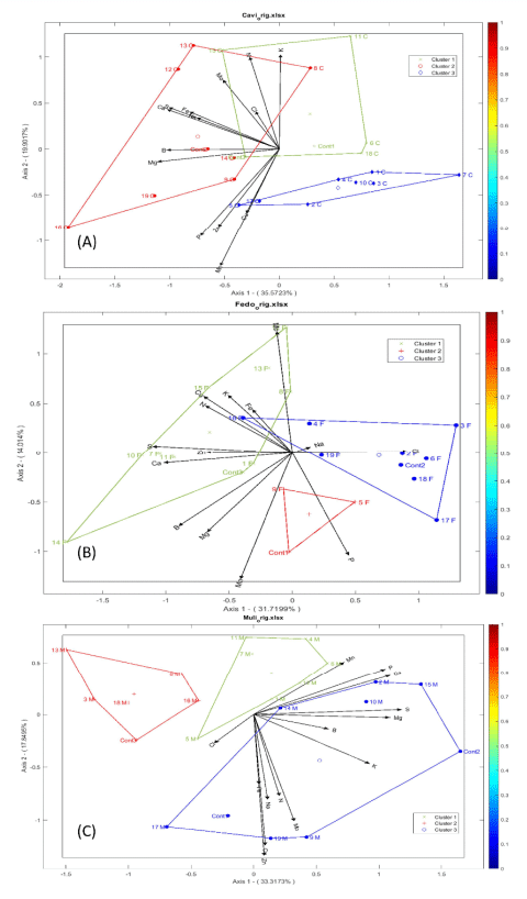 Figura 1. Agrupamiento de bacterias y nutrientes mediante el análisis de componentes principales (ACP) en: Calamagrostis vicunarum (A), Festuca dolichophylla (B) y Muhlenbergia ligularis (C)