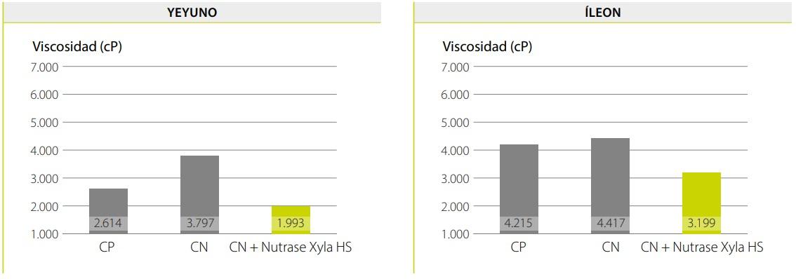 Ahorro de costos de alimentación mediante la reformulación de dietas para pollos de engorde con el uso de Nutrase Xyla HS - Image 7