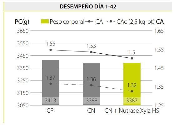 Ahorro de costos de alimentación mediante la reformulación de dietas para pollos de engorde con el uso de Nutrase Xyla HS - Image 5