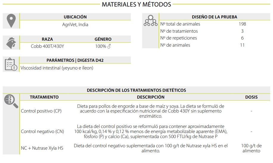 Ahorro de costos de alimentación mediante la reformulación de dietas para pollos de engorde con el uso de Nutrase Xyla HS - Image 1