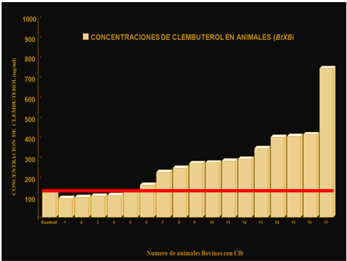 Figura 3. Se muestra las concentraciones de Clb de 17 bovinos en un rastro, donde la mayoría de los animales se detectaron con concentraciones de Clb por arriba de los permitidos por el Codex alimentarius-FAO (125ng/kg), la linea roja indica la concentración máxima permitida para consumo humano 