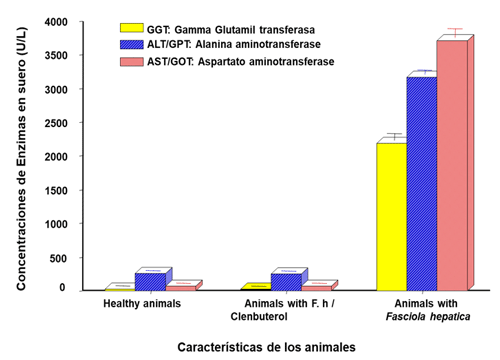 Figura 4: Se muestra como el Clb disfraza las enfermedades hepáticas en bovinos, donde los valores de animales con Fasciola hepatica más Clb tienen valores enzimáticos muy similares a los animales clínicamente sanos, mientras que los animales con Fasciola hepatica si muestran daños hepáticos- fibrosis hepatica-cirrosis, por los valores enzimáticos muy elevados en comparación con los otros grupos experimentales. 