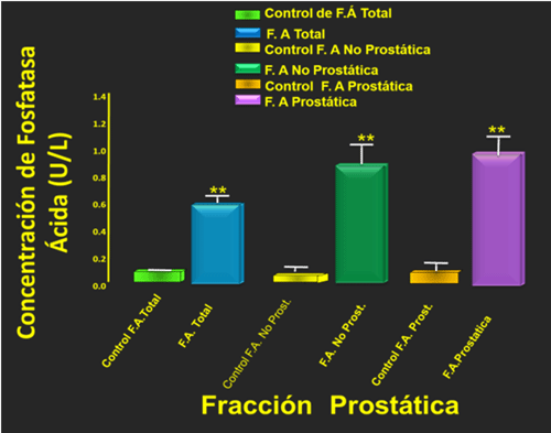 Figura 5: se muestras los valores de la Fosfatasa Ácida: total, No prostática y Prostática, demostrando que el Clb produce una elevación de esta enzima prostática, produciendo alteraciones en la morfología espermática. Si los valores de la fosfatasa ácida prostática son elevados como se demuestra en este estudio, indica presencia de un inicio de cáncer prostático si esto valores continúan elevados por un período de tiempo muy prolongado, por ende, se detectó malformaciones de espermatozoides en caso todas las regiones de este. 