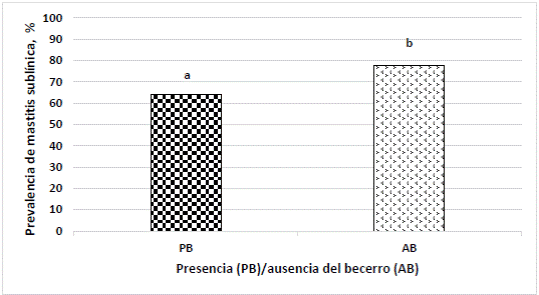 Figura 3 Efecto de la presencia (PB) /ausencia del becerro (AB) sobre la prevalencia de mastitis subclínica 