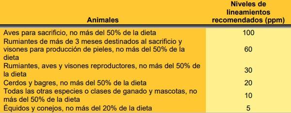 Micotoxinas en los DDGS - Image 5