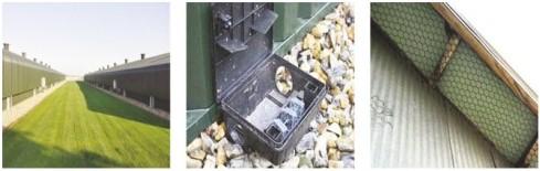 Bioseguridad-bienestar animal: El detalle que se nos escapa - Image 2
