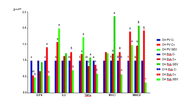 Inmunidad frente a Salmonella: ¿qué es lo realmente importante? - Image 3