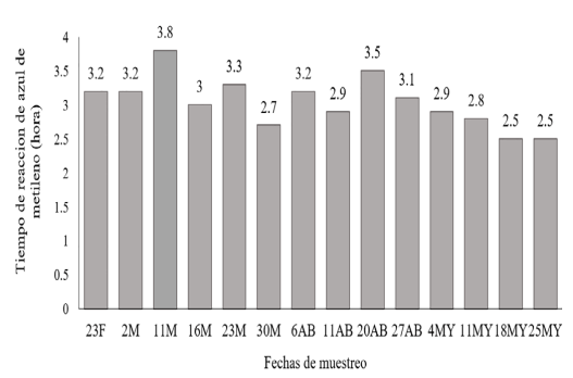 Figura 8. Tiempo de reducción de azul de metileno (horas).