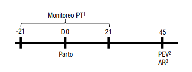Figura 2 - Protocolo del manejo sanitario y reproductivo. 1 Período de transición (PT): monitoreo desde -21 días antes del parto, parto (Día 0), 21 días después del parto. 2Período de espera voluntario (PEV): revisión de los animales y ecografía reproductiva. 3Apta para la reproducción (AR): inicio de la estrategia reproductiva IA o IATF, monitoreo de celos con el uso de parches (ESTROTECTTM). Las actividades/eventos de monitoreo sanitario-reproductivo están en la Figura 4 y Diagrama operativo.