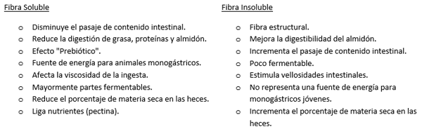 Fibra Cruda Insoluble: Un Nuevo Enfoque para la salud y desempeño - Image 1