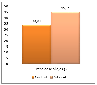 Fibra Cruda Insoluble: Un Nuevo Enfoque para la salud y desempeño - Image 6