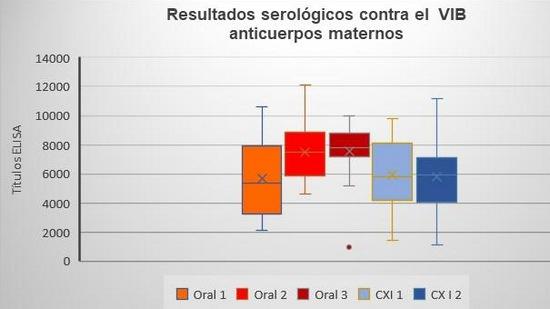 Comparación de un programa de vacunación contra gumboro por vía oral y un programa de vacunación con complejo inmune en pollo de engorda comercial - Image 2