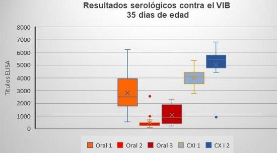 Comparación de un programa de vacunación contra gumboro por vía oral y un programa de vacunación con complejo inmune en pollo de engorda comercial - Image 3