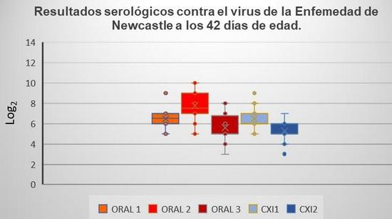 Comparación de un programa de vacunación contra gumboro por vía oral y un programa de vacunación con complejo inmune en pollo de engorda comercial - Image 9