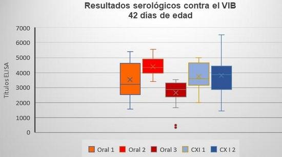 Comparación de un programa de vacunación contra gumboro por vía oral y un programa de vacunación con complejo inmune en pollo de engorda comercial - Image 4