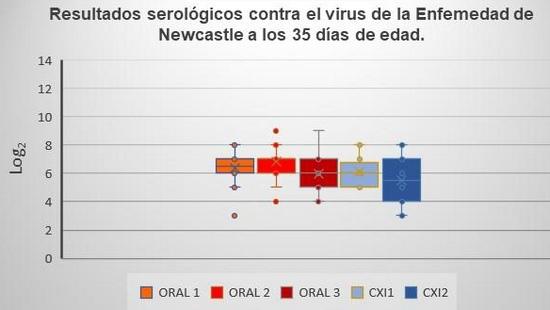Comparación de un programa de vacunación contra gumboro por vía oral y un programa de vacunación con complejo inmune en pollo de engorda comercial - Image 8