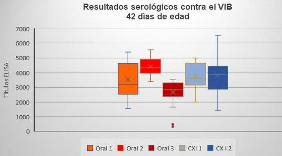 Comparación de un programa de vacunación contra gumboro por vía oral y un programa de vacunación con complejo inmune en pollo de engorda comercial - Image 5