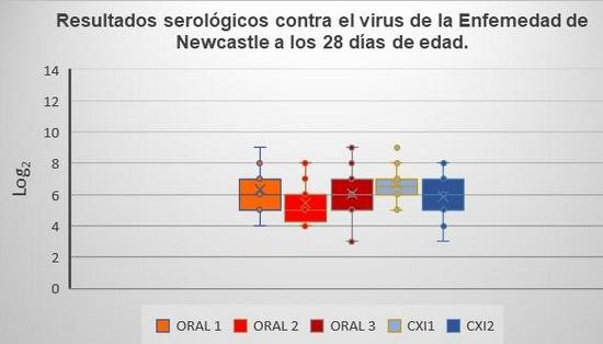 Comparación de un programa de vacunación contra gumboro por vía oral y un programa de vacunación con complejo inmune en pollo de engorda comercial - Image 7