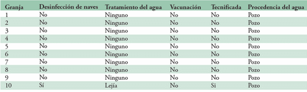 Descargas vulvares en cerdas - Image 3